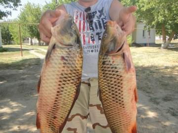 Рыбалка в Астраханской области (лето 2015, сазан)