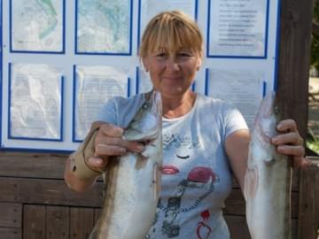 Рыбалка в Астраханской области (осень 2014, судак)