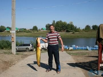 Рыбалка в Астрахани (осень 2013, сом)