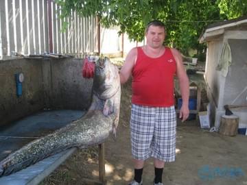 Рыбалка в Астраханской области (2009, сом)