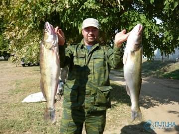 Рыбалка в Астраханской области (2009, улов)