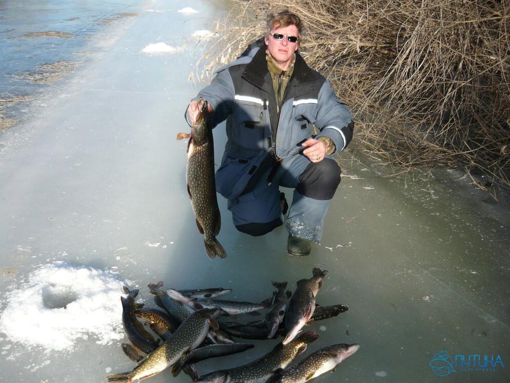 видео рыбалка зимой на ахтубе