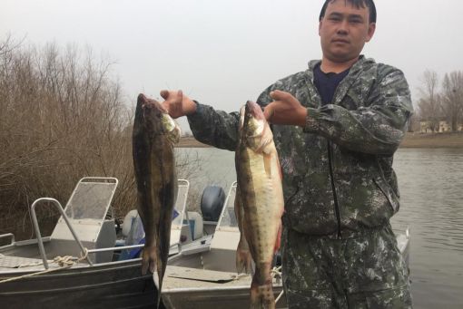 Весенняя рыбалка 2019