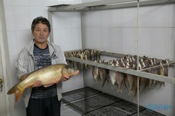 Снижены цены на услуги рыбного цеха!