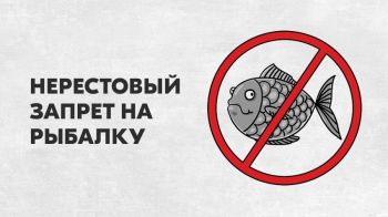 Нерестовый запрет 2021 в Астраханской области