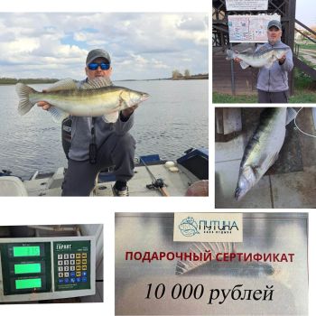 Итоги конкурса «Самый большой судак»