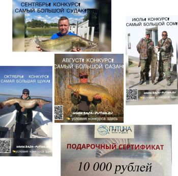 Конкурс «Самый большой судак»