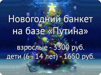 Новый 2016 год на рыболовно-охотничьей базе «Путина»