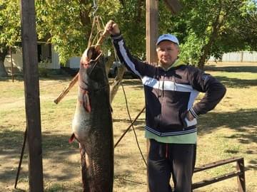 Рыбалка на Волге (осень 2015, трофейный сом)