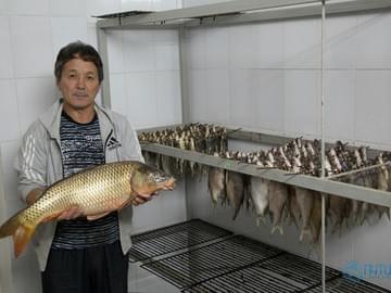 Рыбалка на Волге (осень 2015, сушка рыбы)