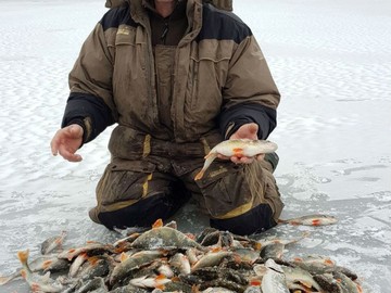 Рыбалка со льда (январь, 2018)