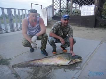 Рыбалка в Астраханской области (лето 2015, сом)