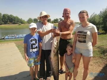 Рыбалка в Астраханской области (лето 2015, сом)