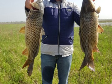 Рыбалка на сазана (весна 2018)