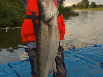 Возраст не важен)