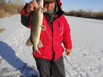 Рыбалка на Волге (зима 2015, щука)