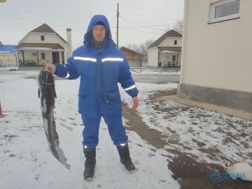 Рыбалка на Волге (зима 2015, сом)