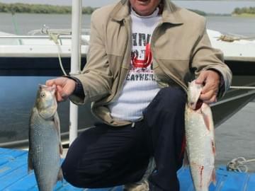 Рыбалка в Астраханской области (осень 2014, улов)