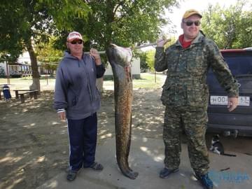 Рыбалка в Астраханской области (осень 2014, сом)