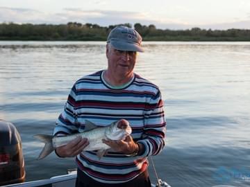 Рыбалка в Астраханской области (осень 2014, жерех)
