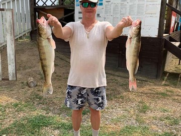 Отличные судаки (рыбалка в июле 2019)