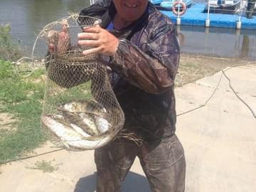 Рыбалка на Ахтубе (лето 2013, улов)