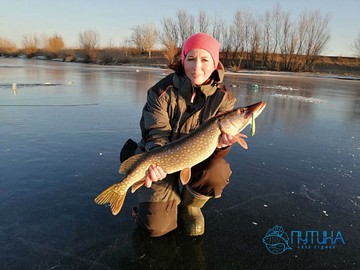 Зимняя рыбалка на щуку (База «Путина»)