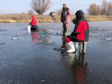 Чудесный солнечный день