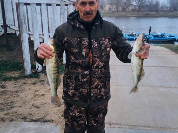 Рыбалка на хищника - База «Путина»