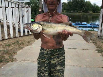 Рыбалка на Волге - База «Путина»