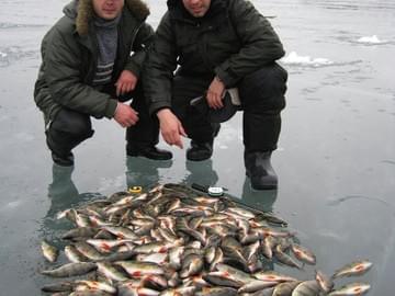 Рыбалка на Волге (2010, улов)