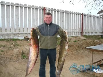 Рыбалка в Астраханской области (2009, сом)