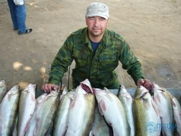 Рыбалка в Астраханской области (2009, судак)