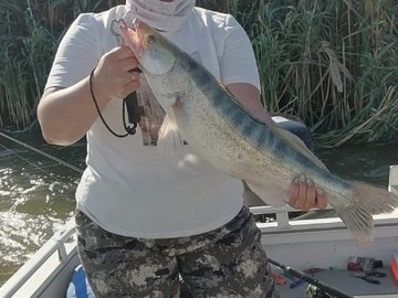 37