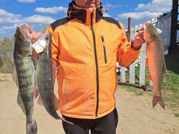 52