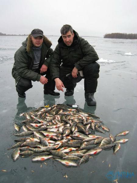 зимняя рыбалка на. ахтубе
