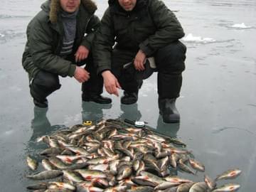 Улов на зимней рыбалке в Астрахани