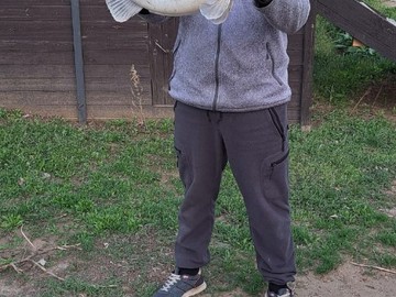 59