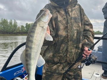 85