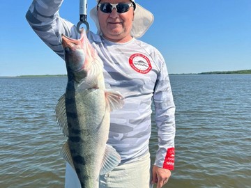 30