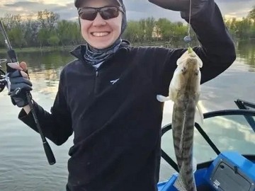 31
