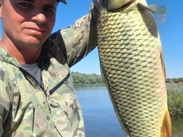 42