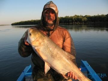 Рыболовная база «Путина» - организация профессиональной рыбалки